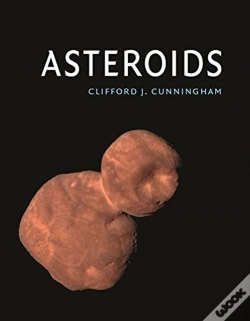Capa do artigo Asteroids
