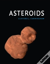 Capa do artigo Asteroids
