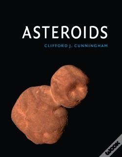 Capa do artigo Asteroids