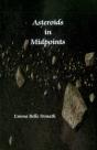 Asteroids In Midpoints - Preview