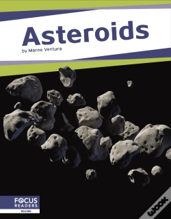 Capa do artigo Asteroids