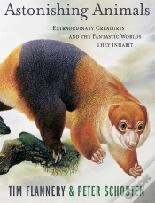 Capa do artigo Astonishing Animals