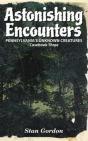 Astonishing Encounters: Pennsylvania'S Unknown Creatures, Casebook 3 - Preview