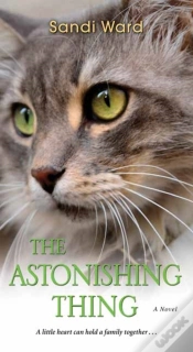 Capa do artigo Astonishing Thing
