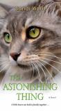 Astonishing Thing - Preview