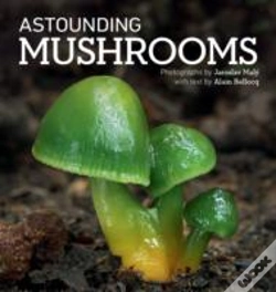 Capa do artigo Astounding Mushrooms