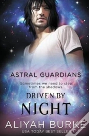 Capa do artigo Astral Guardians: Driven By Night