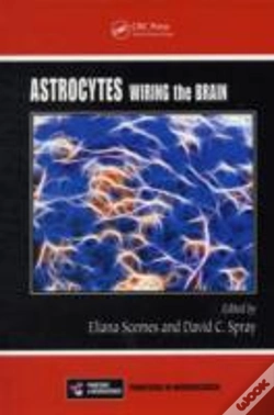 Capa do artigo Astrocytes