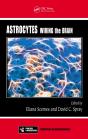 Astrocytes - Preview