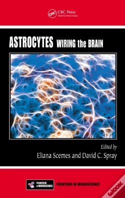 Capa do artigo Astrocytes