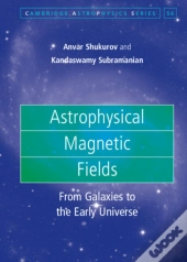Astrophysical Magnetic Fields