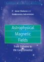 Astrophysical Magnetic Fields - Preview