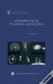 Capa do artigo Astrophysical Plasmas And Fluids