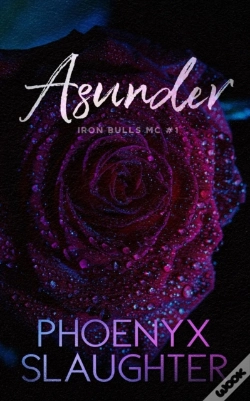 Capa do artigo Asunder (Iron Bulls Mc #1)