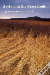 Capa do artigo Asylum In The Grasslands