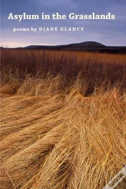 Capa do artigo Asylum In The Grasslands