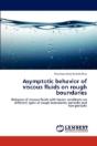 Asymptotic Behavior Of Viscous Fluids On Rough Boundaries - Preview