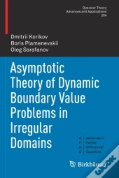 Asymptotic Theory Of Dynamic Boundary Value Problems In Irregular Domains