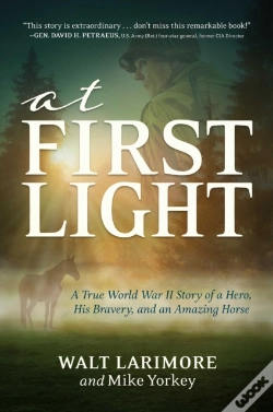 Capa do artigo At First Light
