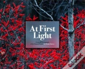 Capa do artigo At First Light: