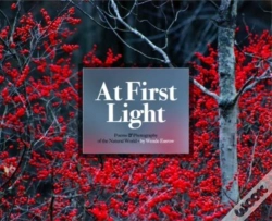 Capa do artigo At First Light:
