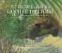At Home With The Gopher Tortoise - Preview