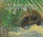 At Home With The Gopher Tortoise - Preview