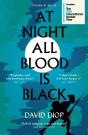 At Night All Blood is Black - Preview