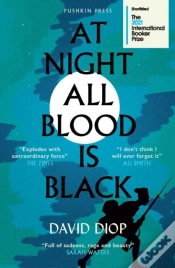 Capa do artigo At Night All Blood is Black