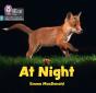At Night - Preview