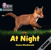 Capa do artigo At Night