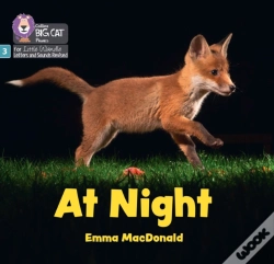 Capa do artigo At Night