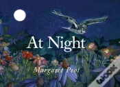 Capa do artigo At Night