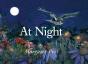 At Night - Preview