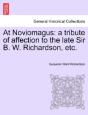 At Noviomagus: A Tribute Of Affection To - Preview