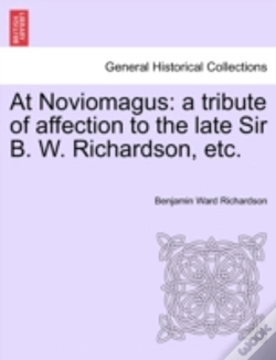 Capa do artigo At Noviomagus: A Tribute Of Affection To
