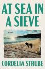 At Sea In A Sieve - Preview