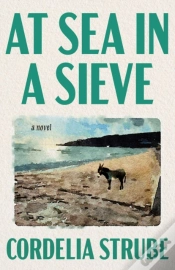 Capa do artigo At Sea In A Sieve