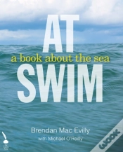 Capa do artigo At Swim