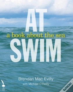Capa do artigo At Swim