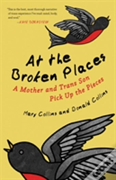 At The Broken Places