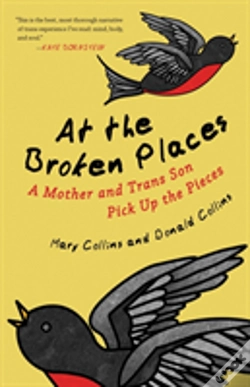 Capa do artigo At The Broken Places
