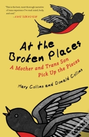 Capa do artigo At The Broken Places