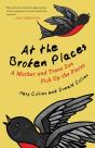 At The Broken Places - Preview