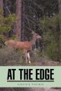 At The Edge - Preview