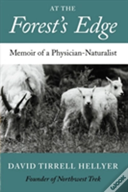 Capa do artigo At The Forest'S Edge