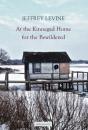 At The Kinnegad Home For The Bewildered - Preview