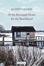 At The Kinnegad Home For The Bewildered