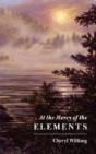 At The Mercy Of The Elements - Preview