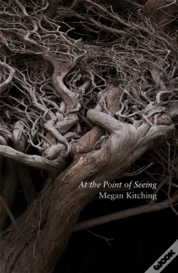 Capa do artigo At The Point Of Seeing